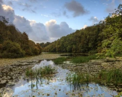 Bosherston Lily Ponds Bosherston Lily Ponds